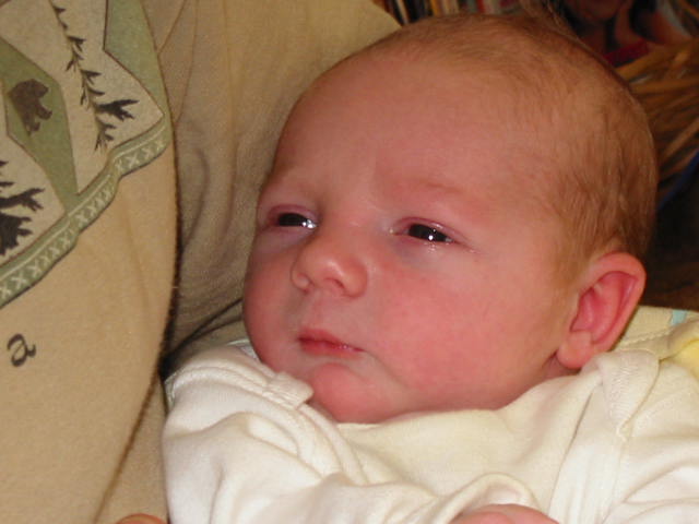 106-0668_img.jpg
